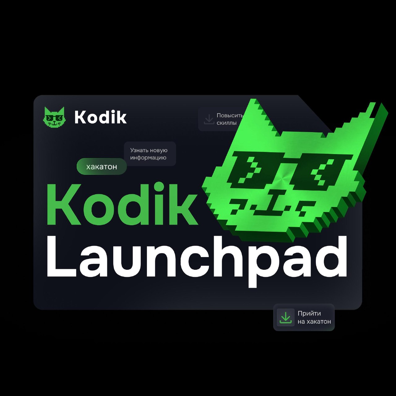 Как мы решились на 30-ти дневный хакатон KodikLaunchpad